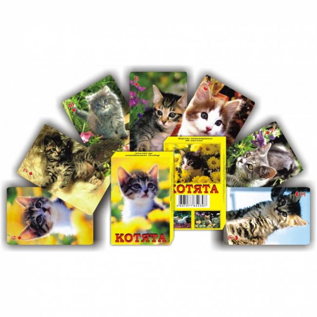 Карты сувенирные «Котята»  36 листов