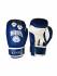 Перчатки боксерские VagroSport RING RS810, 10 унций, синий
